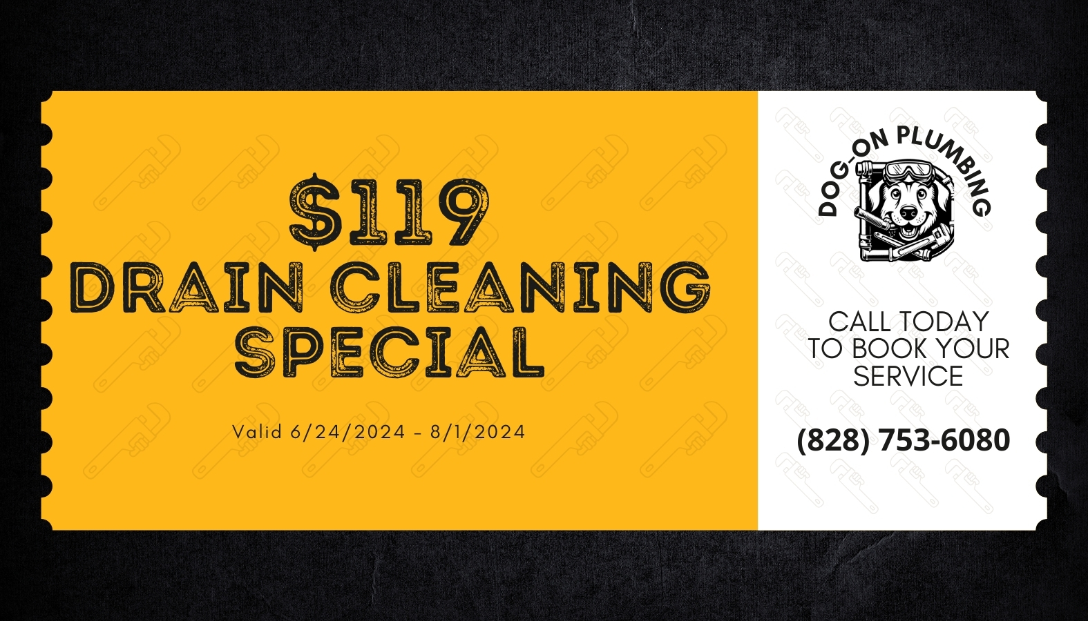 $119 drain cleaning special coupon